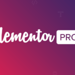Elementor Pro